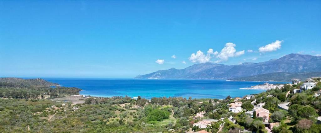 Studio, Vue Sur Mer Et Montagne 圣弗洛朗 外观 照片